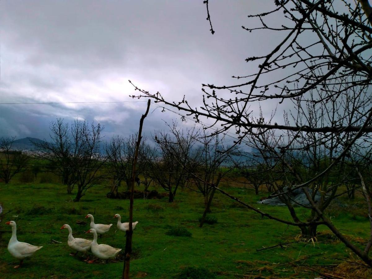 Ferme D'Hote La Vallee อัซโร ภายนอก รูปภาพ