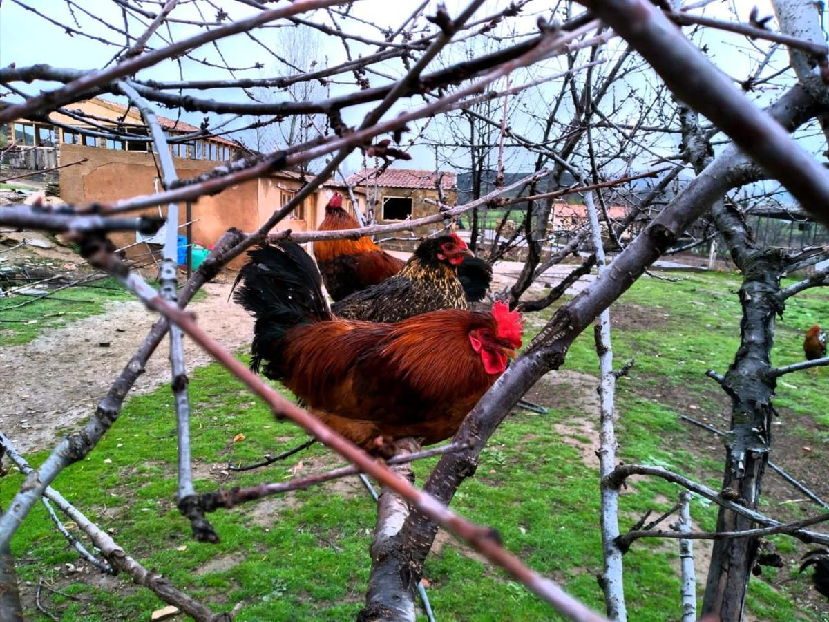 Ferme D'Hote La Vallee อัซโร ภายนอก รูปภาพ